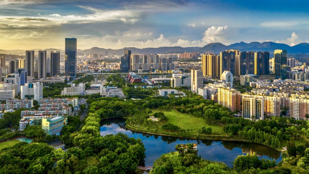 在深圳龙岗感受大湾区科创脉动 营商生态向阳而生(图4)